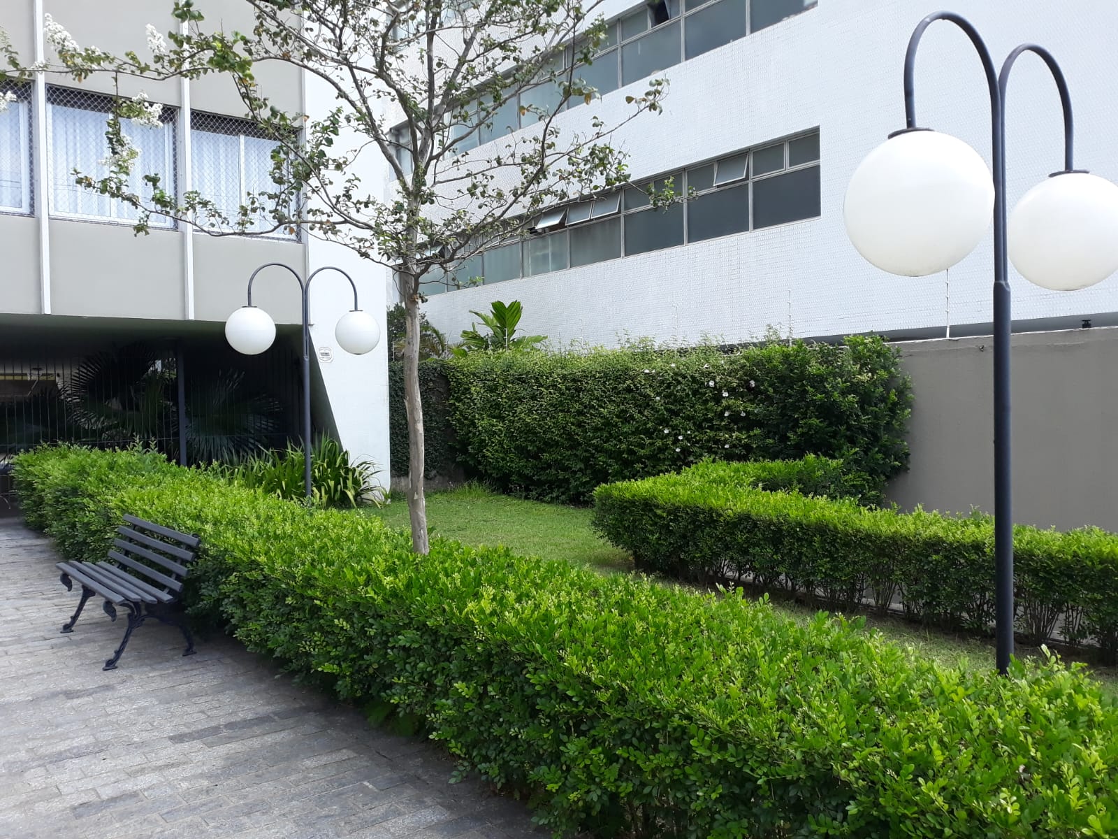 Imagem Apartamento com 3 Quartos à Venda, 214 m² em Morro dos Ingleses - São Paulo