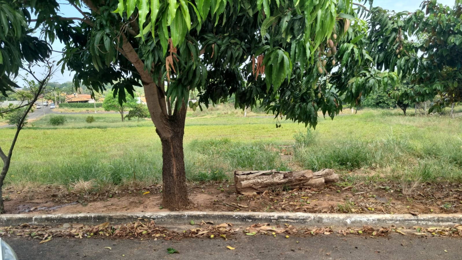 Imagem Terreno em Condomínio à Venda, 525 m²em Condomínio Eco Vila Morumbi - Sales