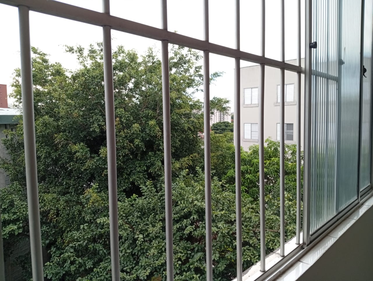 Imagem Apartamento com 2 Quartos à Venda, 52 m² em Jardim Brasília - São Paulo