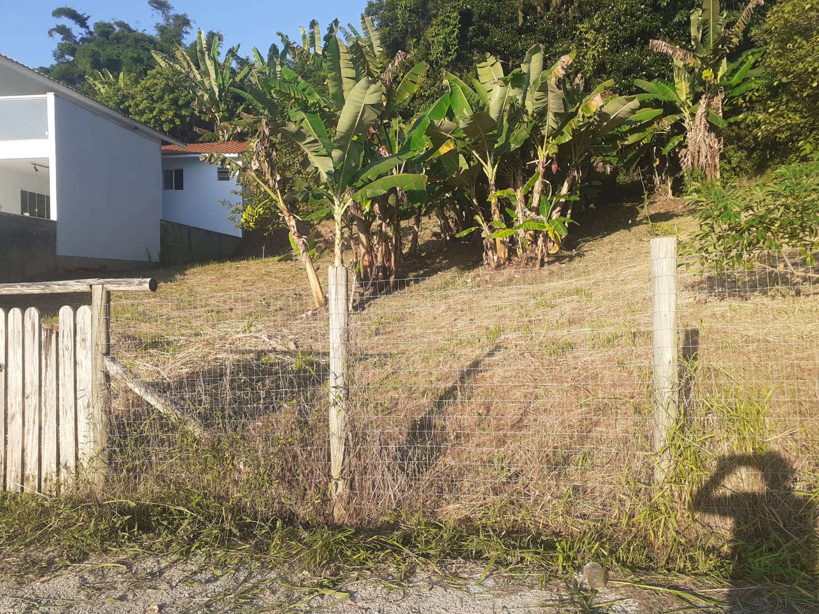 Imagem Terreno à Venda, 600 m² em Vargem Pequena - Florianópolis Imagem Terreno à Venda, 600 m² em Vargem Pequena - Florianópolis