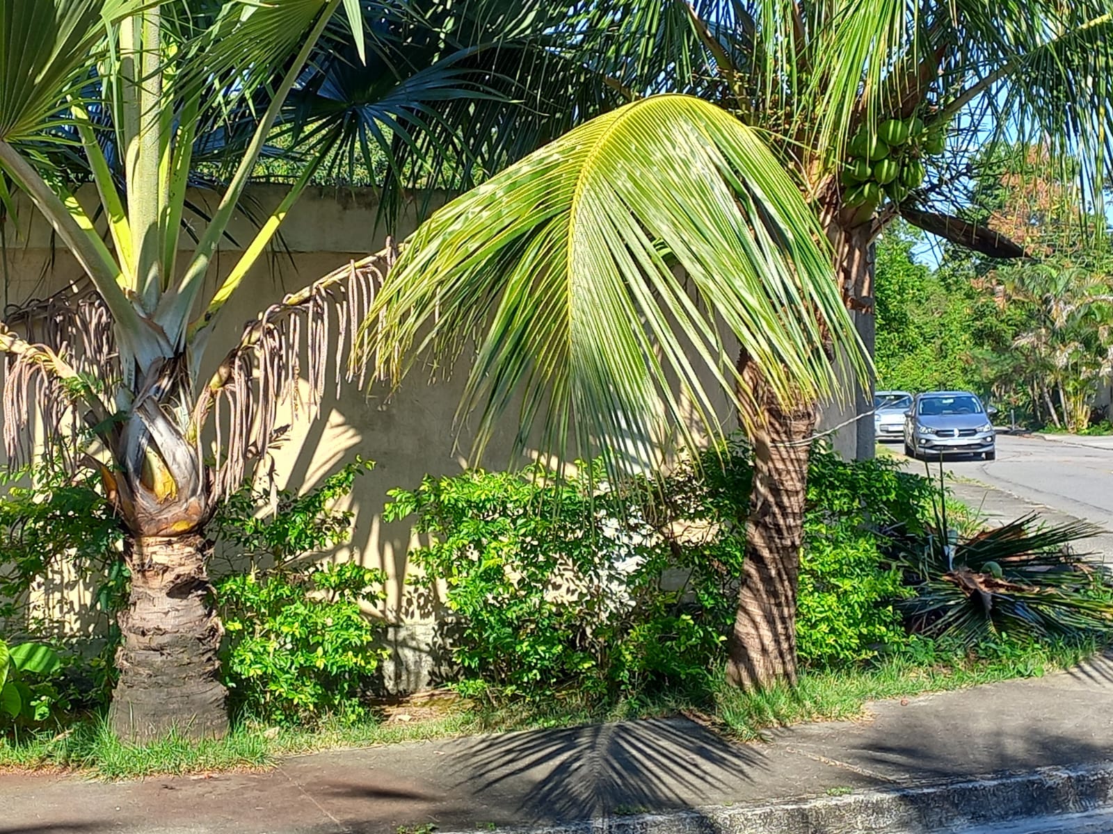 Imagem Terreno à Venda, 180 m²em Piratininga - Niterói