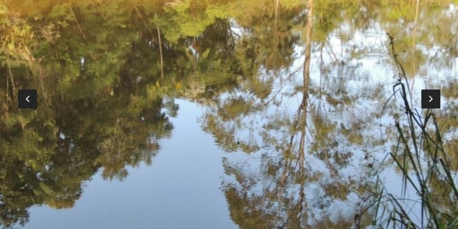 Imagem Chácara com 8 Quartos à Venda, em Centro - Santa Isabel Imagem Chácara com 8 Quartos à Venda, em Centro - Santa Isabel