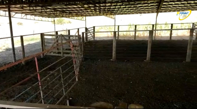 Imagem Fazenda à Venda, 297 HAem Paranoá - Brasília