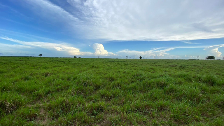 Imagem Fazenda à Venda, 455 HA em zona Rural - Santarém Novo Imagem Fazenda à Venda, 455 HA em zona Rural - Santarém Novo