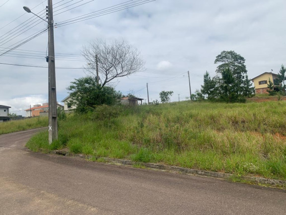 Imagem Terreno à Venda, em Linha Anta - Criciúma Imagem Terreno à Venda, em Linha Anta - Criciúma