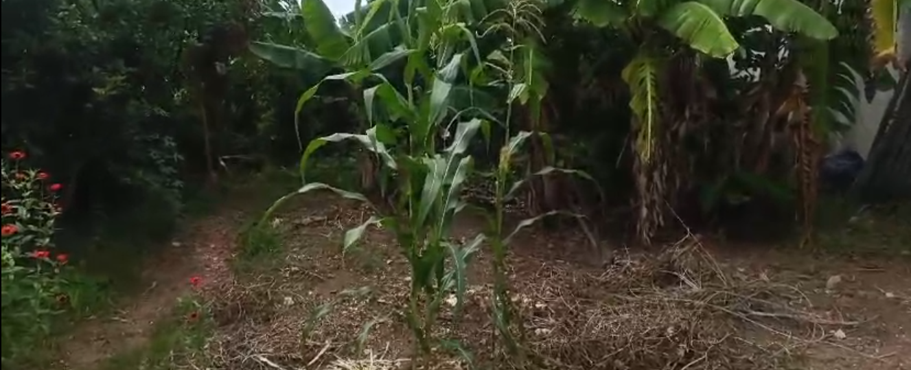 Imagem Terreno à Venda, 509 m²em Residencial das Flores - Várzea Paulista Imagem Terreno à Venda, 509 m²em Residencial das Flores - Várzea Paulista