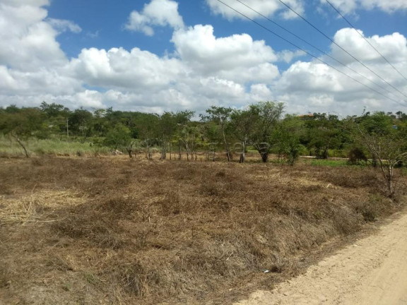 Terreno à Venda, 4.000 m² em Zona Rural - Bonito