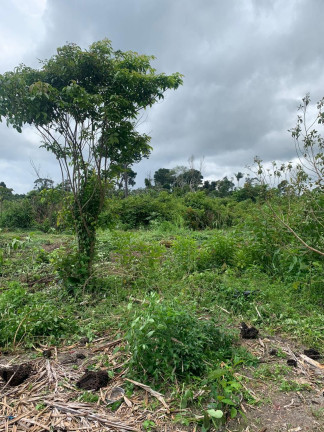 Imagem Fazenda à Venda, 837 HA em Área Rural de Santarém - Santarém Imagem Fazenda à Venda, 837 HA em Área Rural de Santarém - Santarém