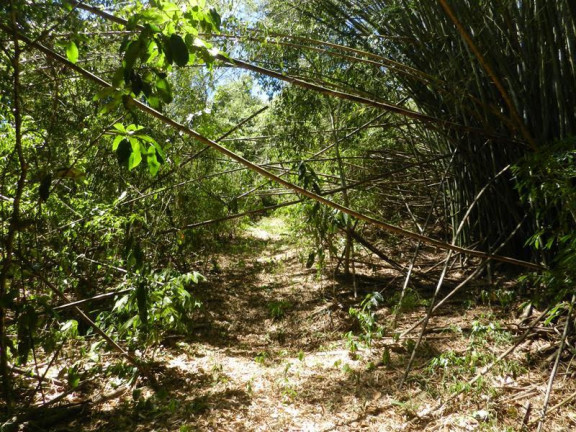 Imagem Terreno à Venda, 58.000 m² em Centro Histórico (Paraty) - Paraty Imagem Terreno à Venda, 58.000 m² em Centro Histórico (Paraty) - Paraty