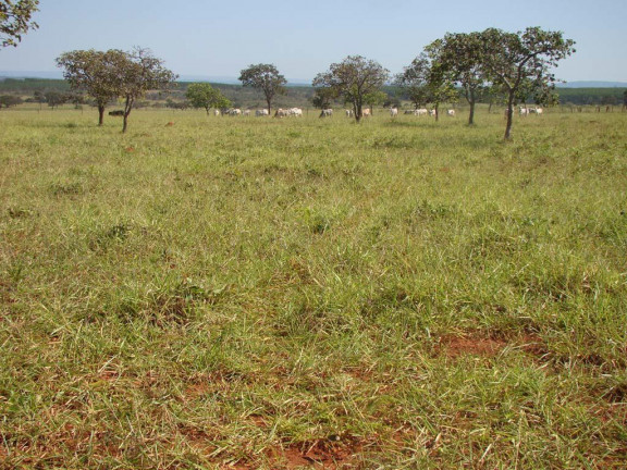 Imagem Fazenda à Venda,  em zona rural - Engenheiro Navarro