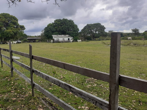 Imagem Fazenda à Venda, em zona rural - Salvaterra Imagem Fazenda à Venda, em zona rural - Salvaterra