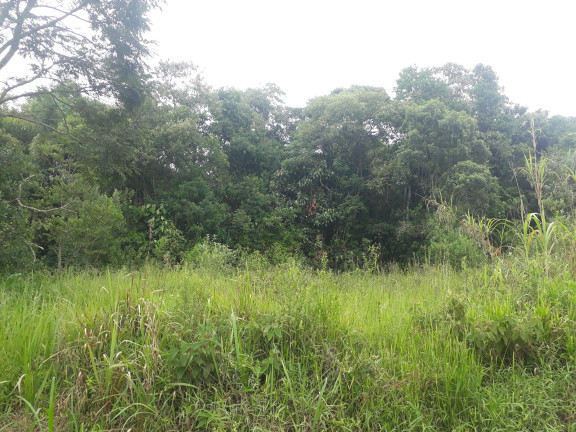 Imagem Terreno à Venda, 2.552 m² em Taipas De Pedras (Mailasqui) - São Roque Imagem Terreno à Venda, 2.552 m² em Taipas De Pedras (Mailasqui) - São Roque