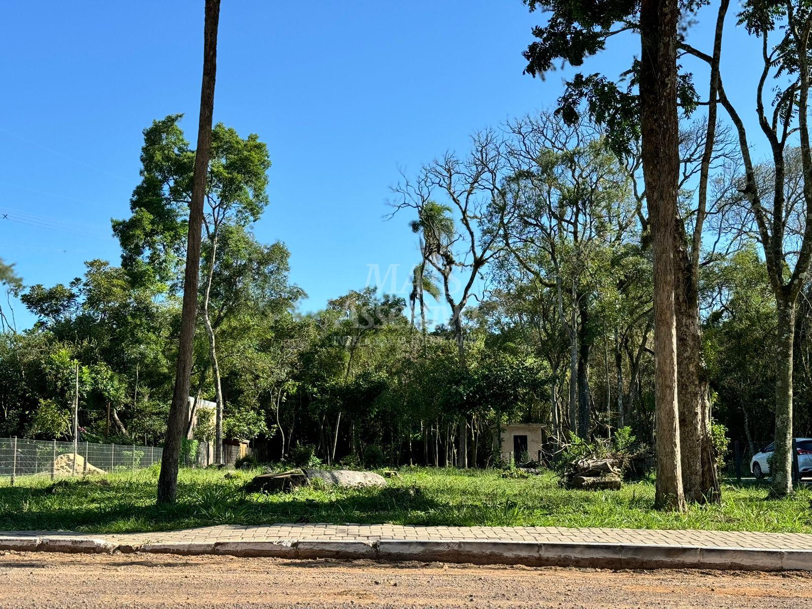 Imagem Terreno à Venda, 2 m²em Lomba Grande - Novo Hamburgo