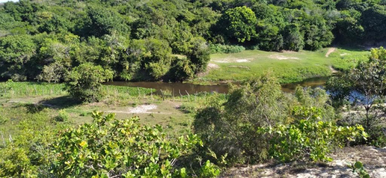 Imagem Terreno à Venda, 5.658 m²em Pajuçara - Natal