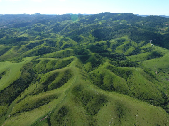 Imagem Fazenda à Venda, 400.529 HA em Parque Residencial Maria Elmira - Caçapava