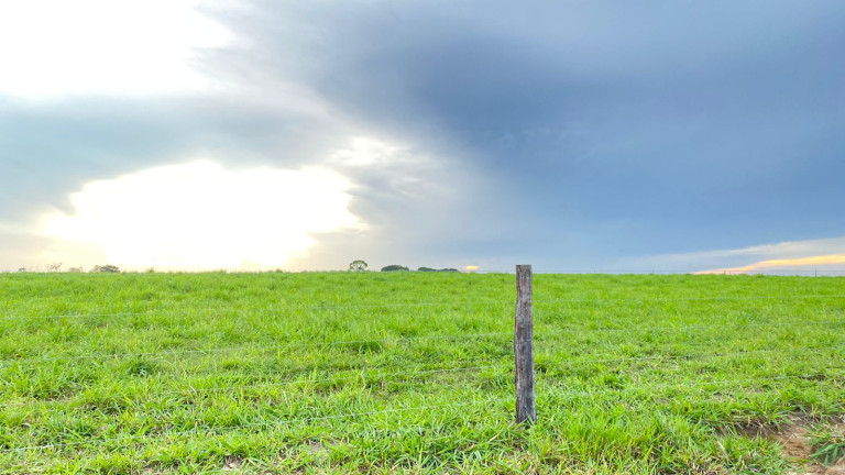 Imagem Fazenda à Venda, 455 HA em zona Rural - Santarém Novo Imagem Fazenda à Venda, 455 HA em zona Rural - Santarém Novo