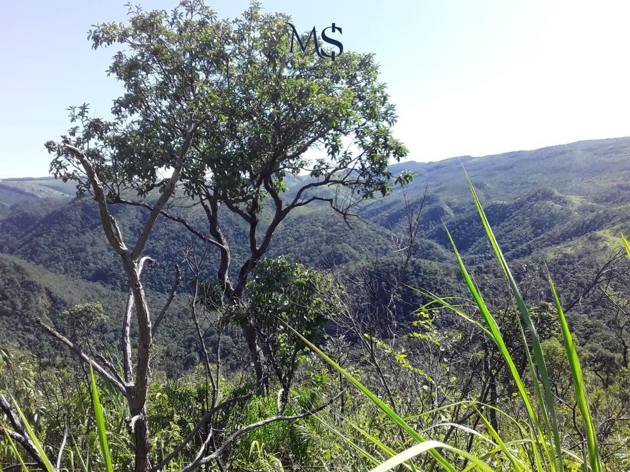Imagem Fazenda à Venda, 427 m²em rural - São João D'Aliança