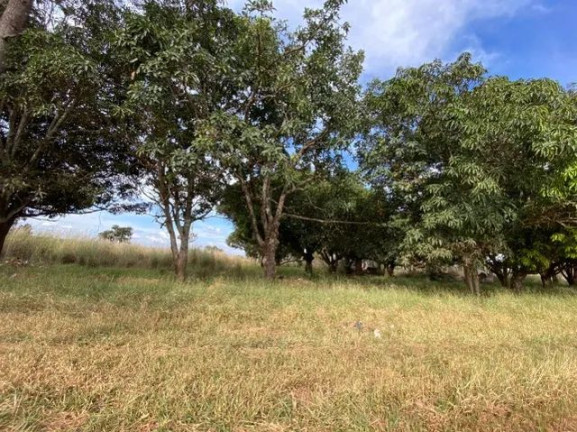 Imagem Terreno à Venda, 7.000 m² em Chácaras Coimbra - Águas Lindas de Goiás Imagem Terreno à Venda, 7.000 m² em Chácaras Coimbra - Águas Lindas de Goiás
