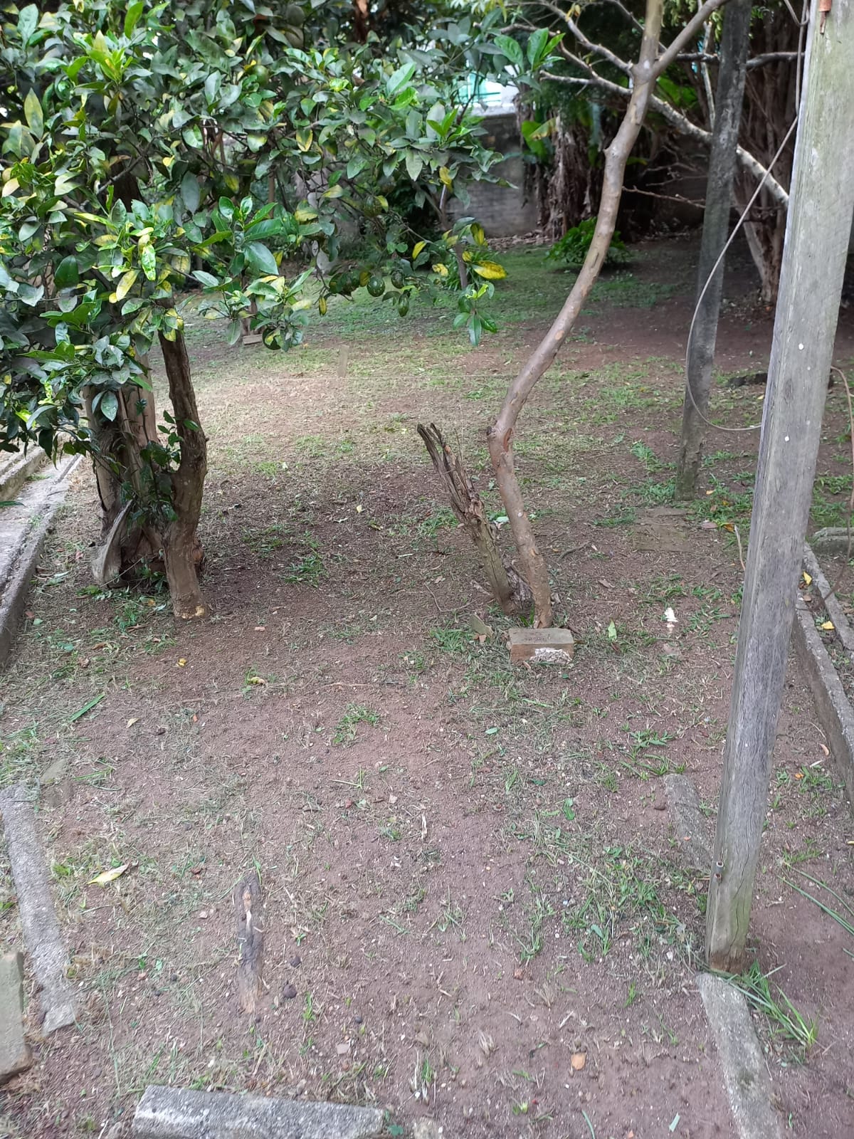 Imagem Terreno à Venda, 600 m² em Portão - Curitiba