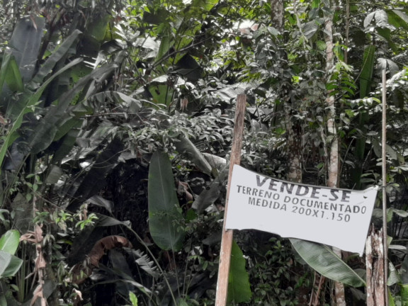 Imagem Terreno à Venda, 230.000 m² em Zona Rural - Santa Bárbara do Pará Imagem Terreno à Venda, 230.000 m² em Zona Rural - Santa Bárbara do Pará