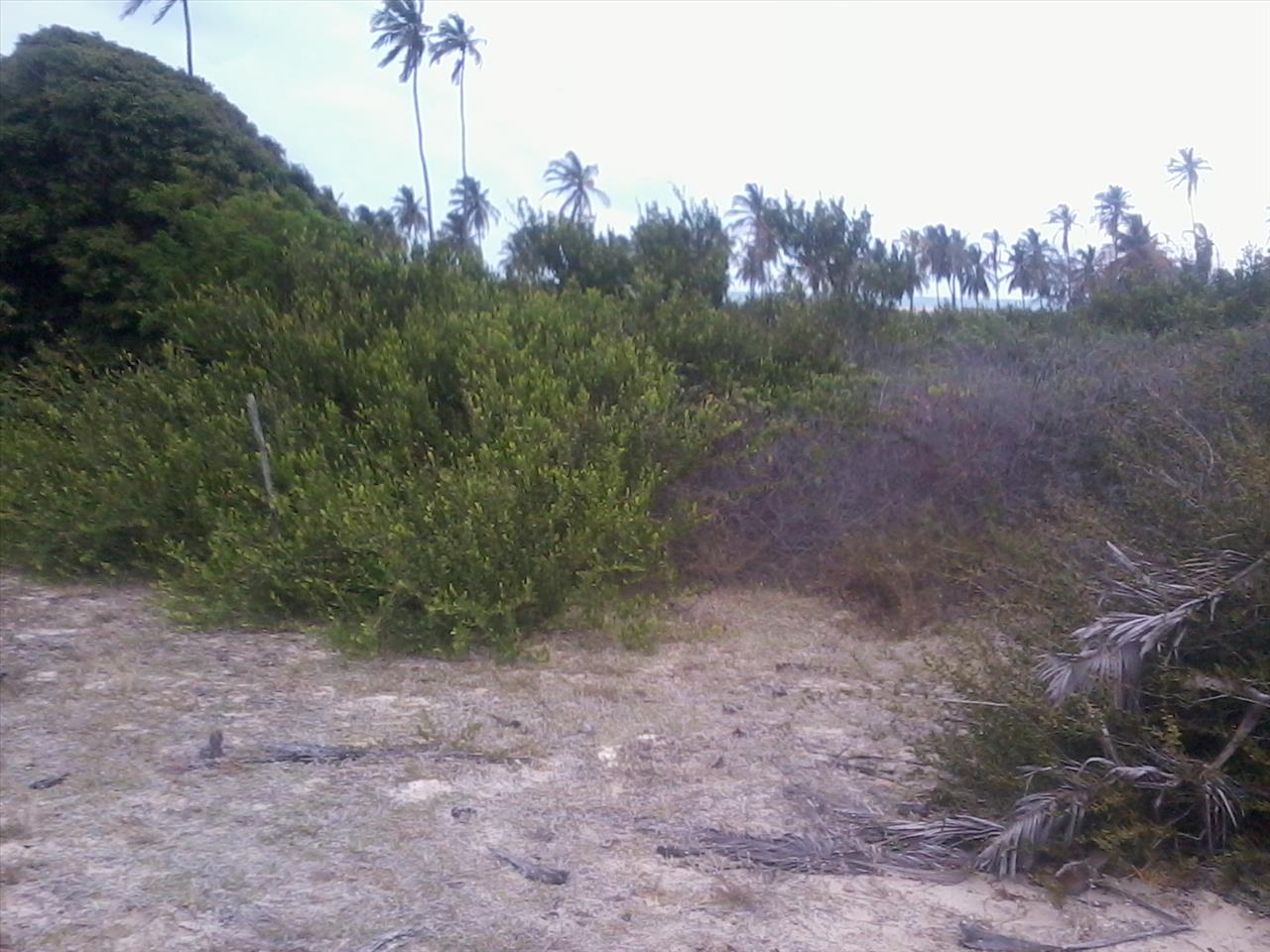 Imagem Terreno à Venda, 168.640 metro em Praia de Pititinga - Rio do Fogo