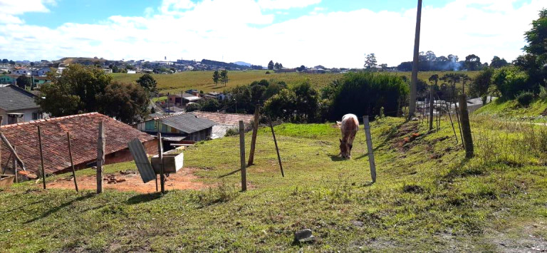 Imagem Terreno à Venda, 324 m²em São Miguel - Lages Imagem Terreno à Venda, 324 m²em São Miguel - Lages