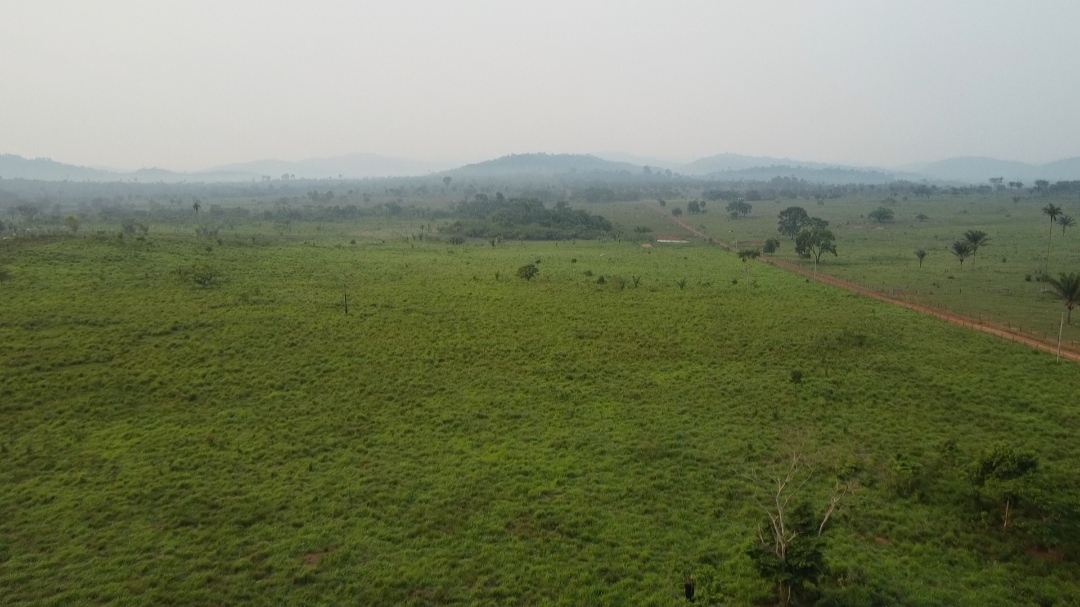 Imagem Fazenda à Venda, 1 m²em Centro - São Félix do Xingu Imagem Fazenda à Venda, 1 m²em Centro - São Félix do Xingu