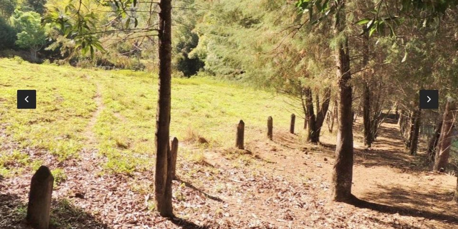 Imagem Chácara com 8 Quartos à Venda, em Centro - Santa Isabel Imagem Chácara com 8 Quartos à Venda, em Centro - Santa Isabel