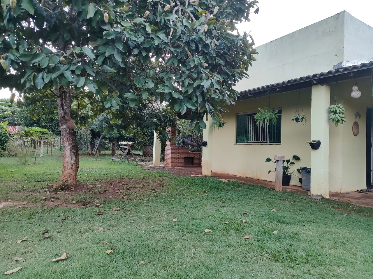Imagem Chácara com 4 Quartos à Venda, 5.000 m² em Chácaras Marajoara - Luziânia Imagem Chácara com 4 Quartos à Venda, 5.000 m² em Chácaras Marajoara - Luziânia
