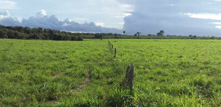 Imagem Fazenda à Venda, 455 HA em zona Rural - Santarém Novo Imagem Fazenda à Venda, 455 HA em zona Rural - Santarém Novo