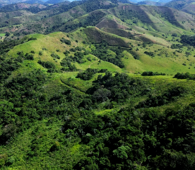 Imagem Fazenda à Venda, 459.000 HA em Área Rural de Valença - Valença