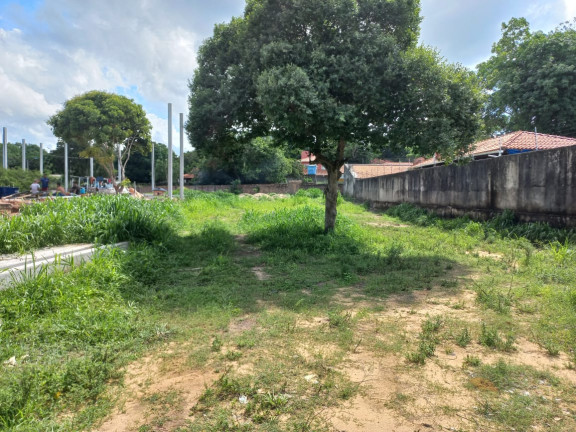 Imagem Terreno à Venda, 1.300 m² em Alter do Chão - Santarém Imagem Terreno à Venda, 1.300 m² em Alter do Chão - Santarém