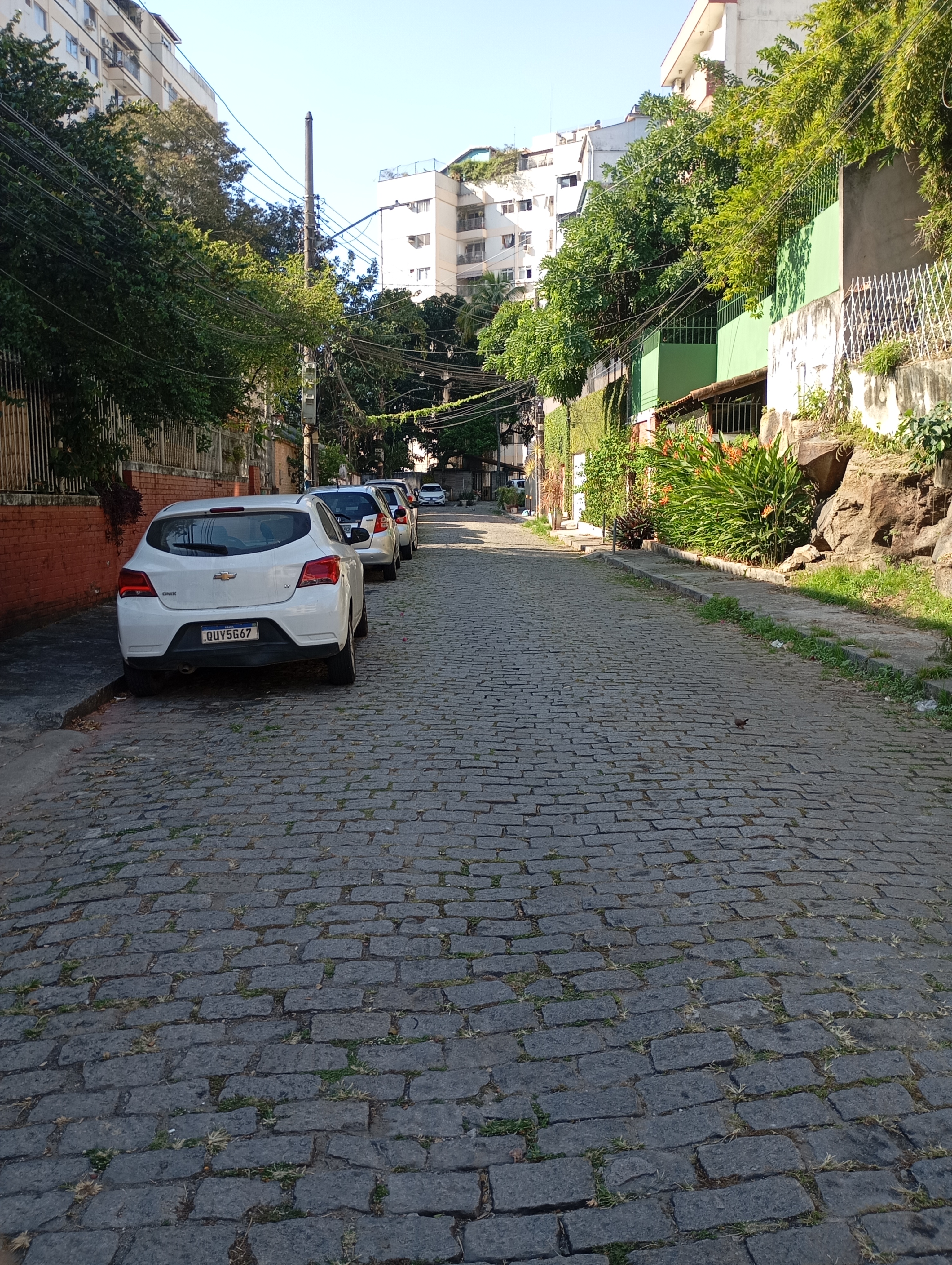 Imagem Apartamento com 2 Quartos à Venda, 70 m²em Laranjeiras - Rio de Janeiro