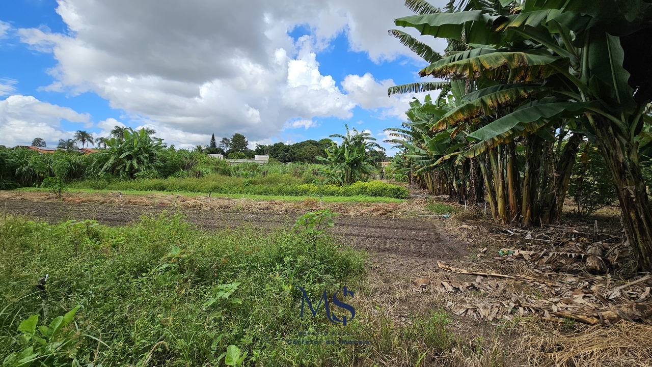 Imagem Fazenda à Venda, 2 m²em Park Way - Brasília