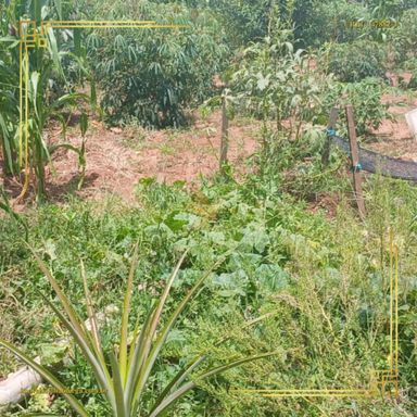 Terreno à Venda, 250 m² em Jardim Monte Mor - Botucatu