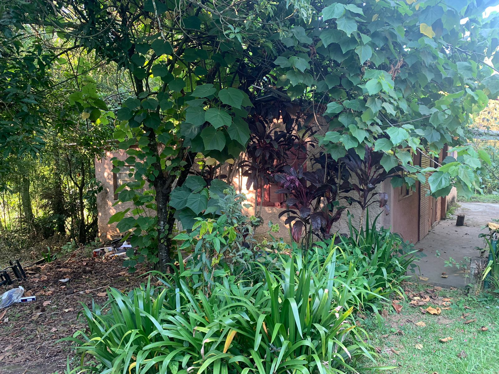 Imagem Chácara com 3 Quartos à Venda ou Locação, 6 m²em Chácara Roselândia - Cotia Imagem Chácara com 3 Quartos à Venda ou Locação, 6 m²em Chácara Roselândia - Cotia
