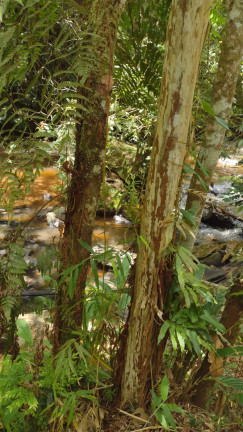 Imagem Terreno à Venda, 1.000 m² em Centro - Atibaia Imagem Terreno à Venda, 1.000 m² em Centro - Atibaia