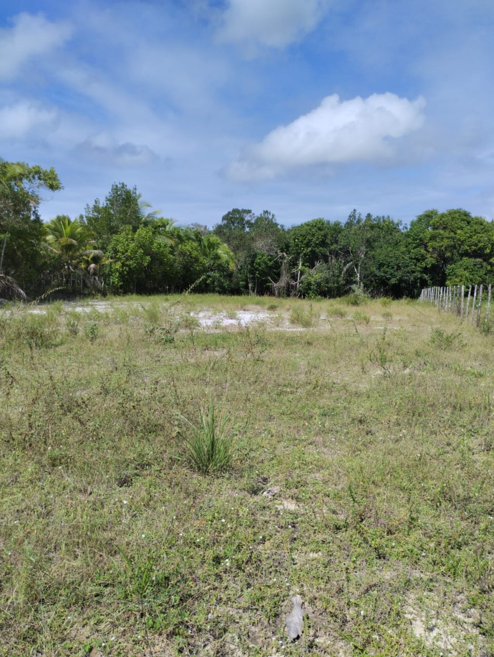 Imagem Terreno à Venda, 3.000 m² em Entre Rios - Entre Rios