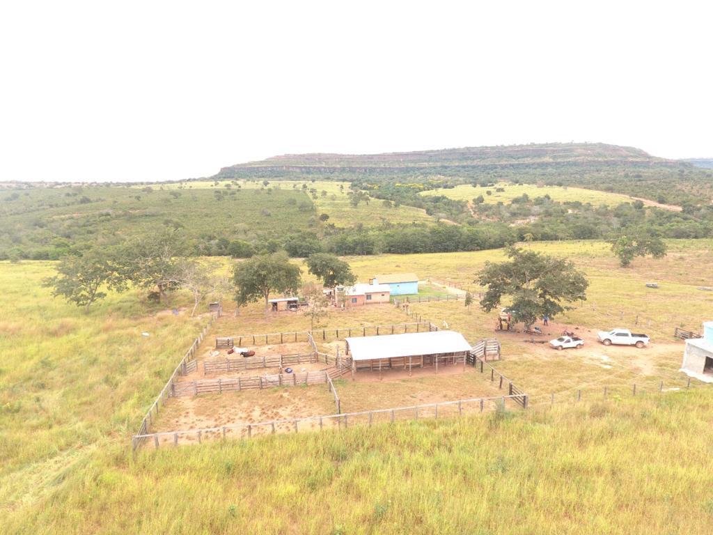Fazenda à Venda, 80 Alq GOem Centro - Barra do Garças