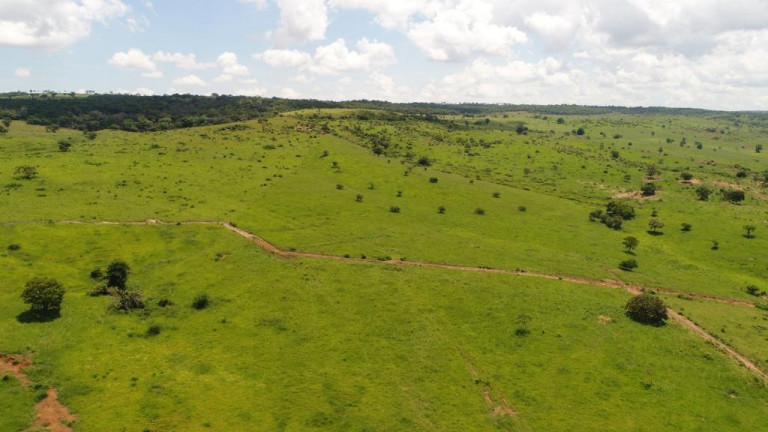 Imagem Terreno à Venda, 11.500 m² em zona rural - Bocaiúva