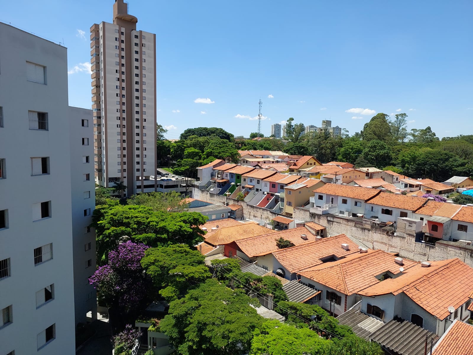 Imagem Apartamento com 3 Quartos à Venda, 71 m² em Jardim Ester - São Paulo