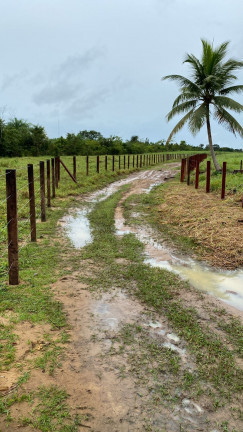 Imagem Chácara à Venda, 450.000 m² em Centro - Santo Antônio do Tauá Imagem Chácara à Venda, 450.000 m² em Centro - Santo Antônio do Tauá