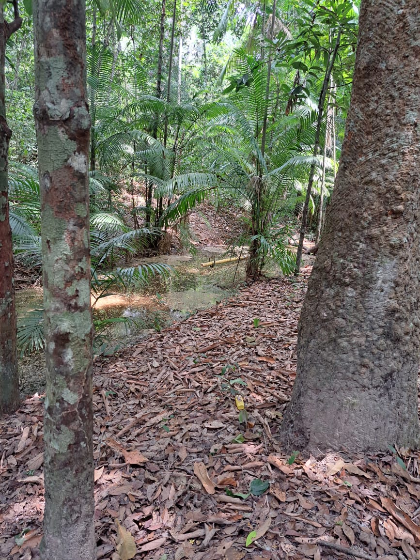 Imagem Terreno à Venda, 250 m²em Vigia - Santarém Imagem Terreno à Venda, 250 m²em Vigia - Santarém