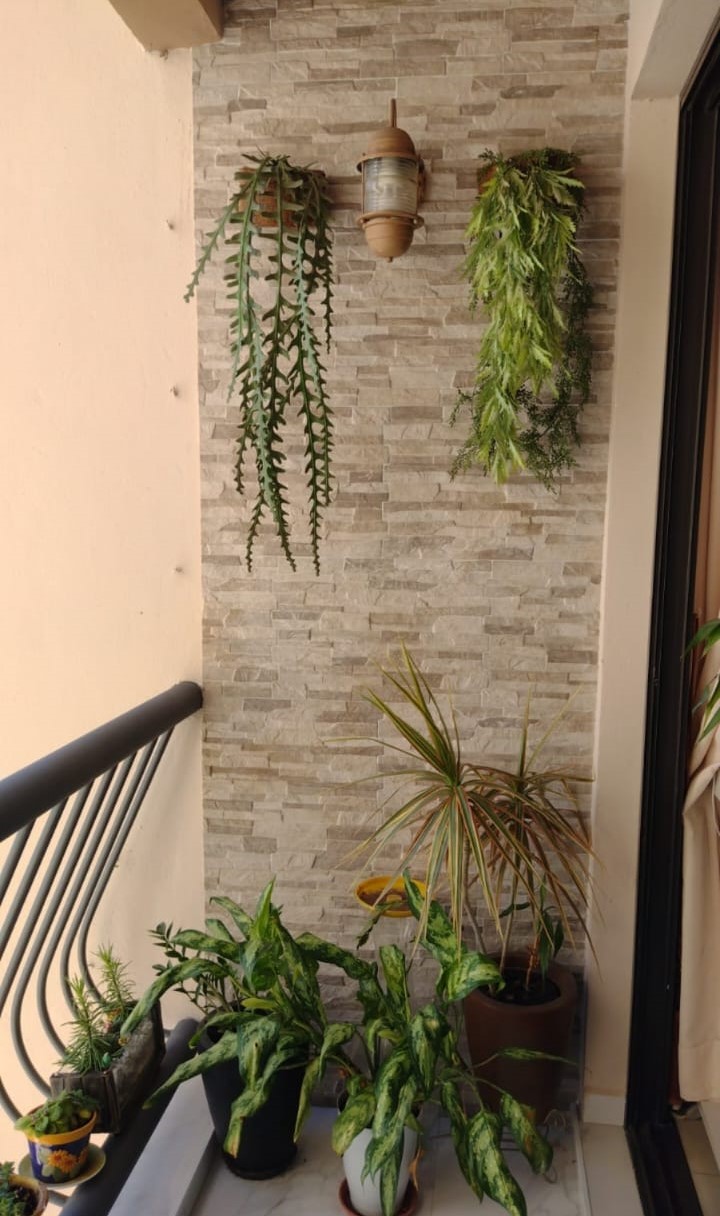Imagem Apartamento com 2 Quartos à Venda, 80 m²em Jardim Maria Rosa - Taboão da Serra