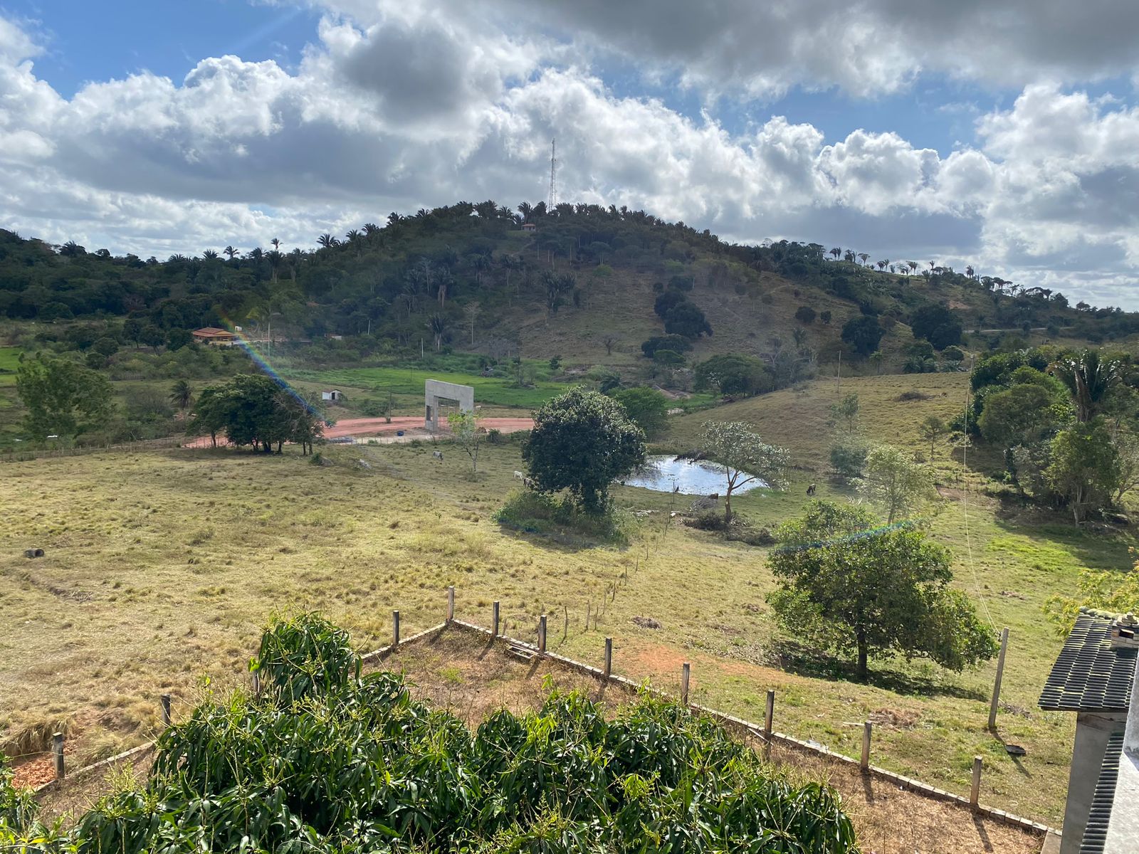Imagem Fazenda à Venda, 5 HAem CENTRO - Borborema Imagem Fazenda à Venda, 5 HAem CENTRO - Borborema