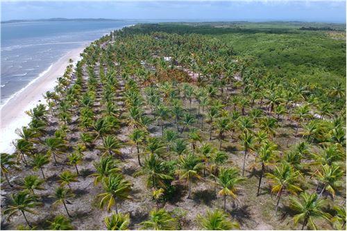 Imagem Terreno à Venda, 14 m²em ILHA DO CONTRATO - Igrapiúna