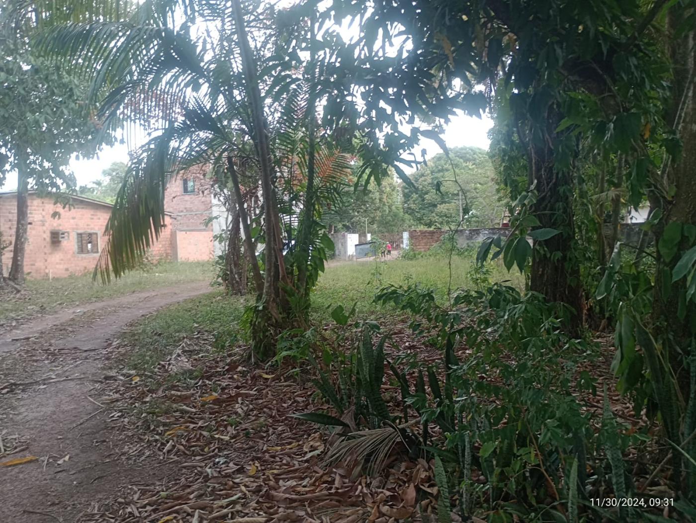 Imagem Chácara à Venda, 55.950 m² em São João do Outeiro (Outeiro) - Belém Imagem Chácara à Venda, 55.950 m² em São João do Outeiro (Outeiro) - Belém
