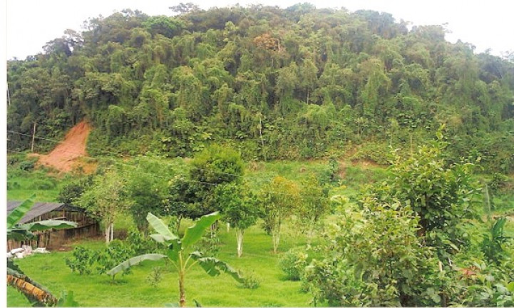 Imagem Terreno à Venda, 726.000 m² em Jardim Mirna - Taboão da Serra Imagem Terreno à Venda, 726.000 m² em Jardim Mirna - Taboão da Serra