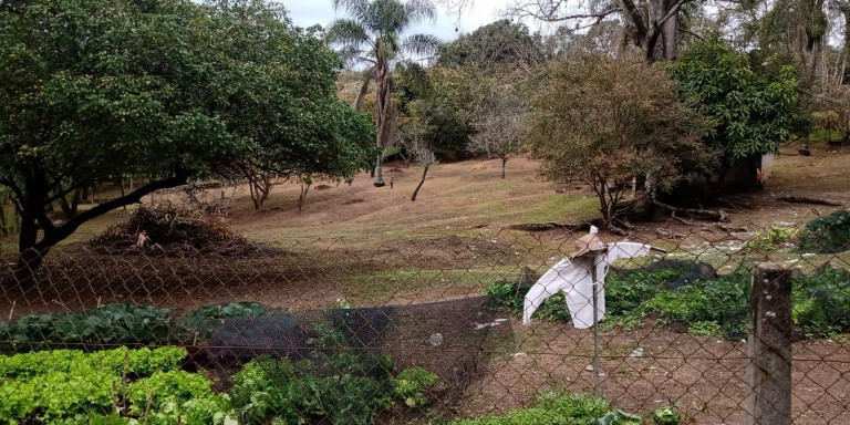 Imagem Chácara com 12 Quartos à Venda, em Centro - Santa Isabel Imagem Chácara com 12 Quartos à Venda, em Centro - Santa Isabel