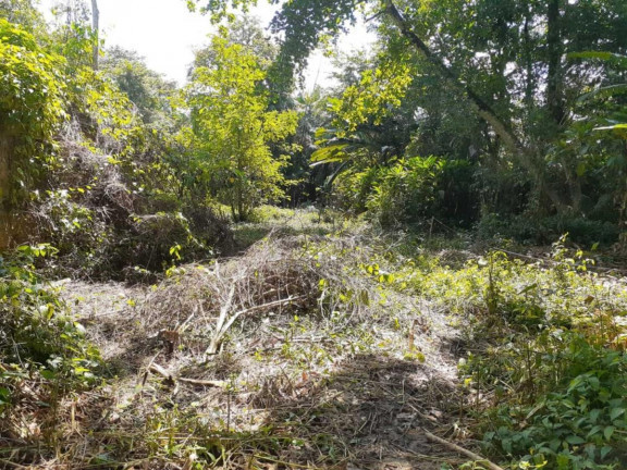 Imagem Terreno à Venda,  em Marituba - Ananindeua